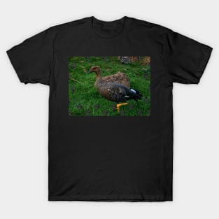 Upland Goose T-Shirt